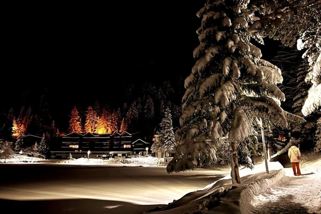 Superbe Appartement Champex-Lac Avec Piscine Et Sauna Εξωτερικό φωτογραφία